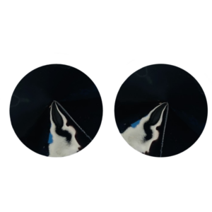 kinky-diva-pvc-pasties